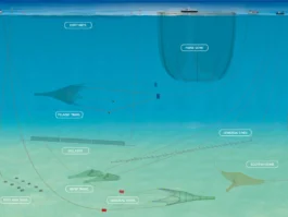 project-seafish-sample-03 Illustrations and 3D Rendered Graphics: Seafish