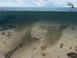 Technical Illustrations and Graphics